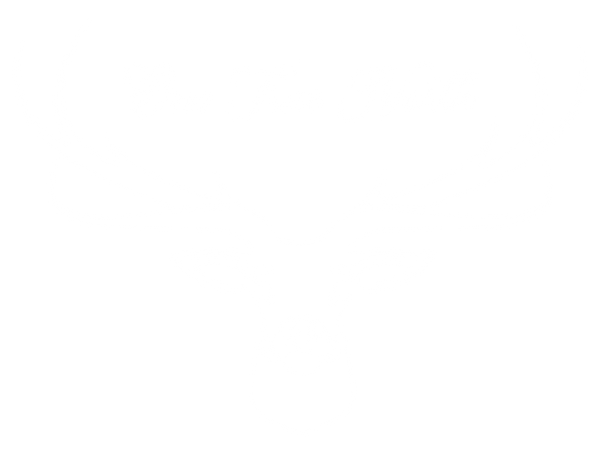 One True North